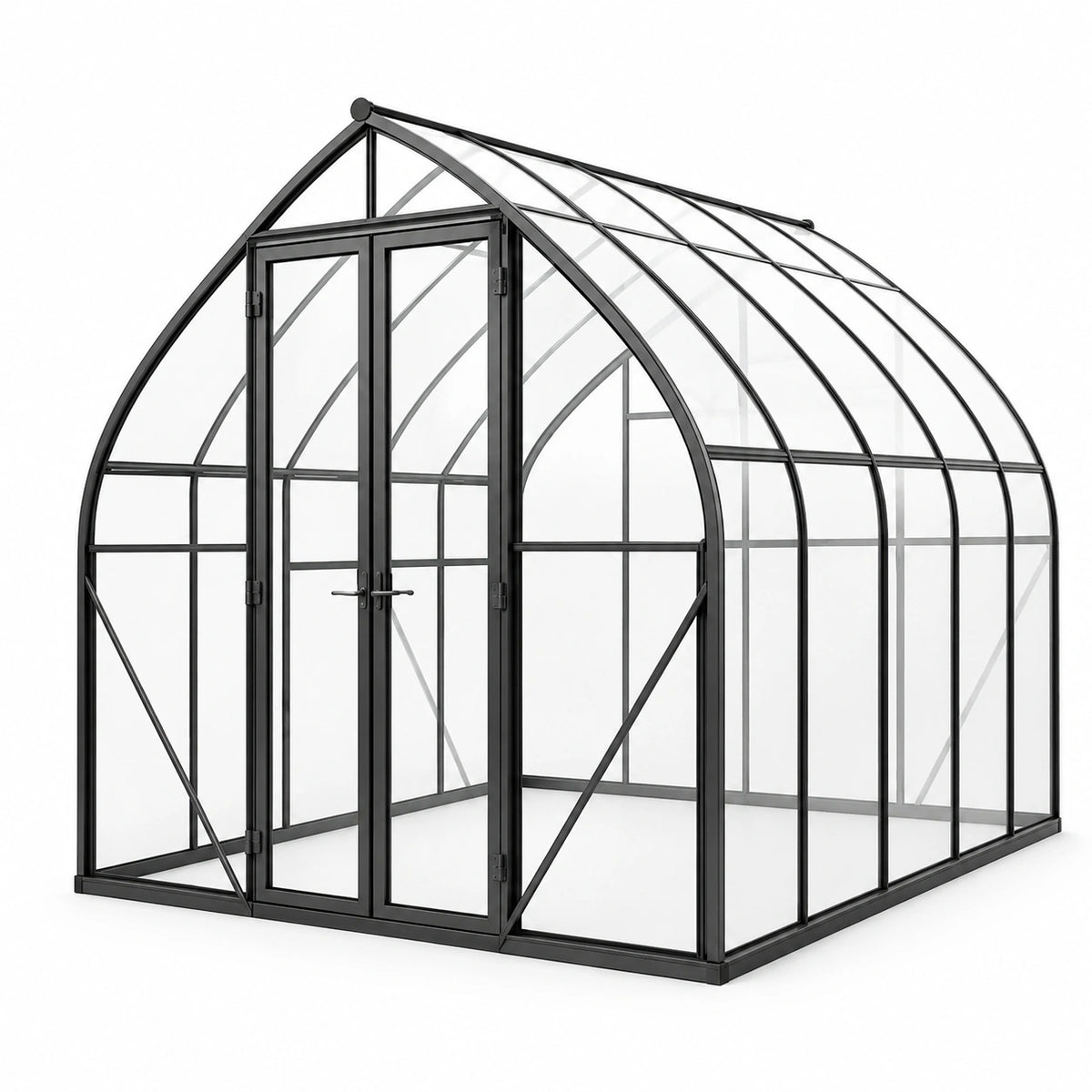 Serre de jardin 300 x 200 x 220 cm en métal noir avec panneaux transparents et double porte arquée